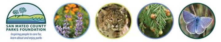 Exploring the Beauty of Florida State Parks: Your Ultimate Guide