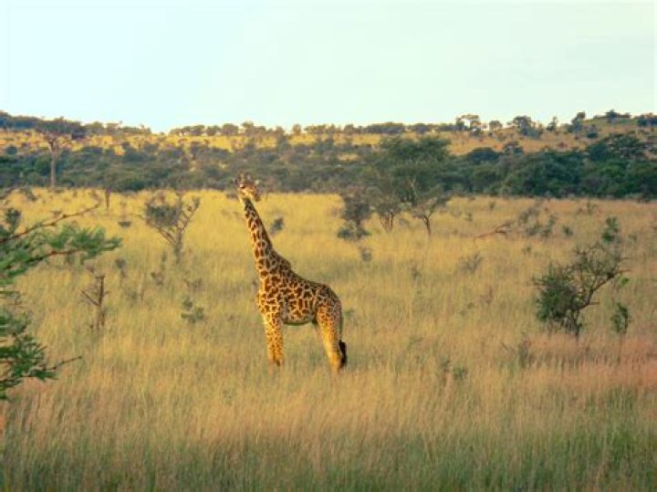 For Download: Your Ultimate Guide to Secure and Reliable Downloads