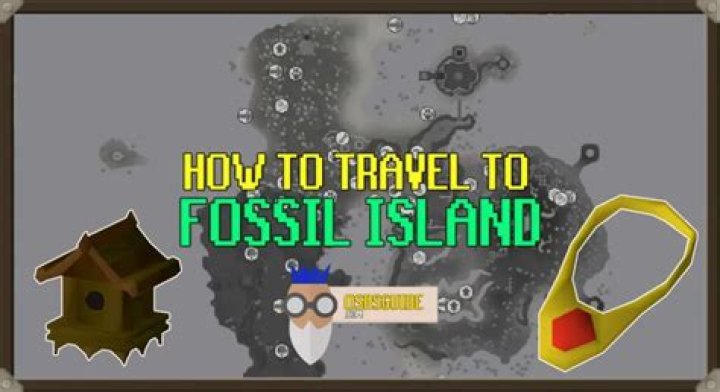 Fossil Island Tree Patch: A Comprehensive Guide to Unlocking Its Secrets