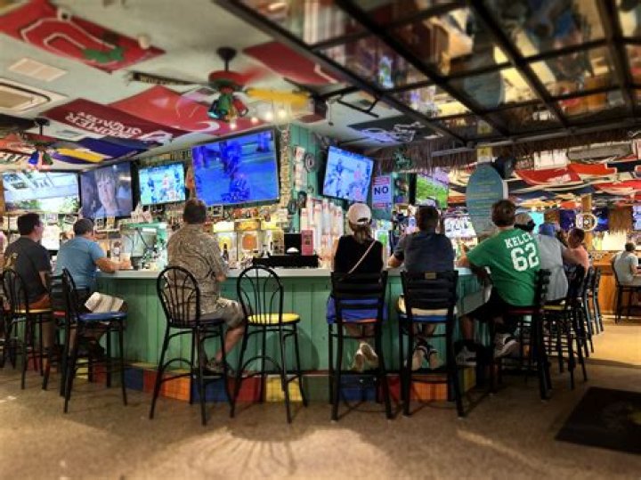 Frosty Frog: The Ultimate Guide to Understanding This Unique Creature