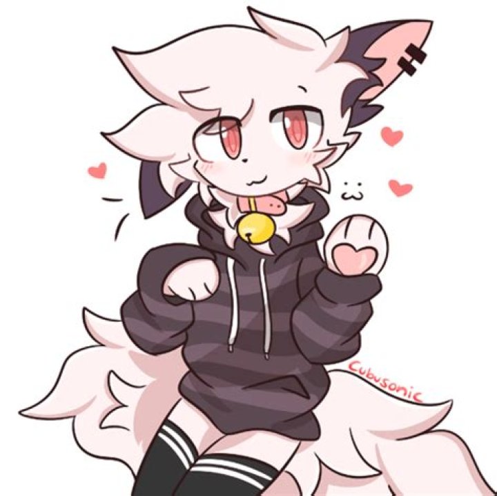 Furry Femboy: Understanding the Community, Identity, and Representation