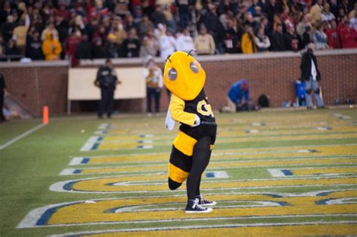 Unveiling the Spirit: Georgia Tech University Mascot