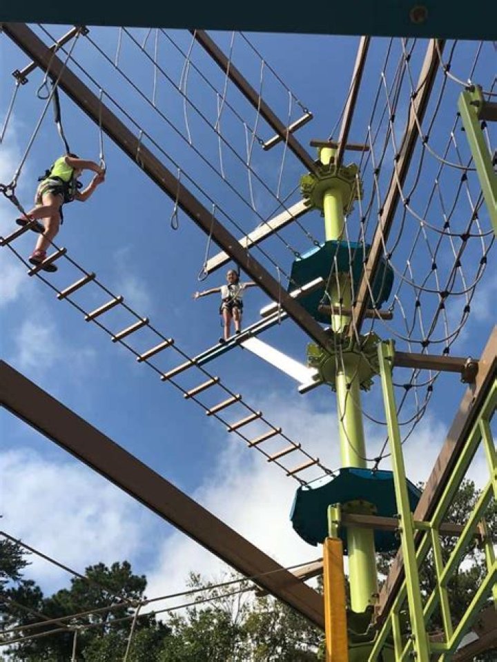 Great Wolf Lodge: Ultimate Guide to Things to Do for Families