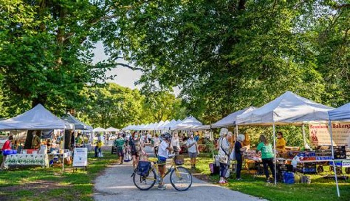 Exploring the Vibrant Green City Market Chicago: A Sustainable Urban Oasis