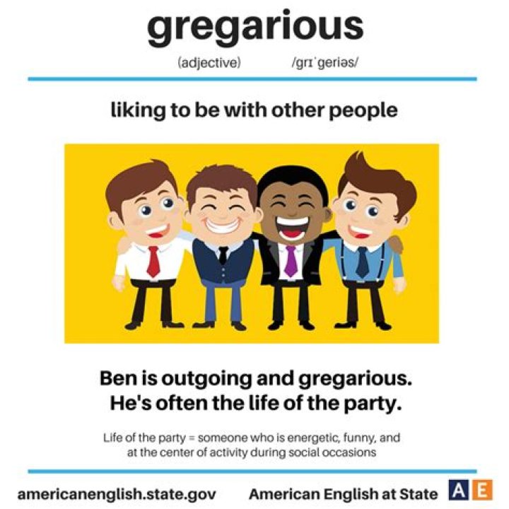 Gregarious Meaning: Unlocking the Social Essence
