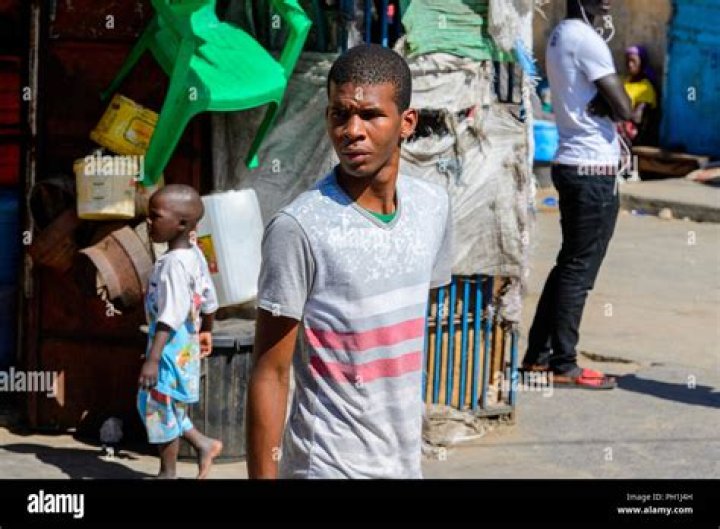 Greyhound: The Ultimate Guide to Understanding the Speedy and Graceful Breed