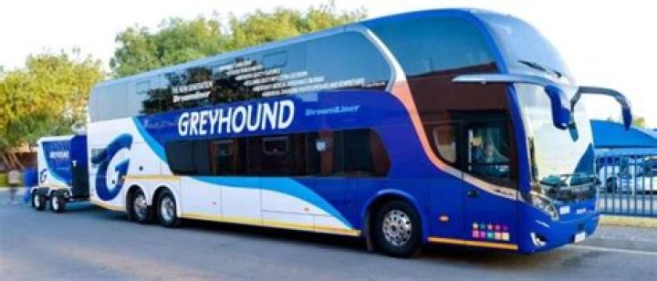 Unveiling the Ultimate Greyhound Amenities: Your Ultimate Guide