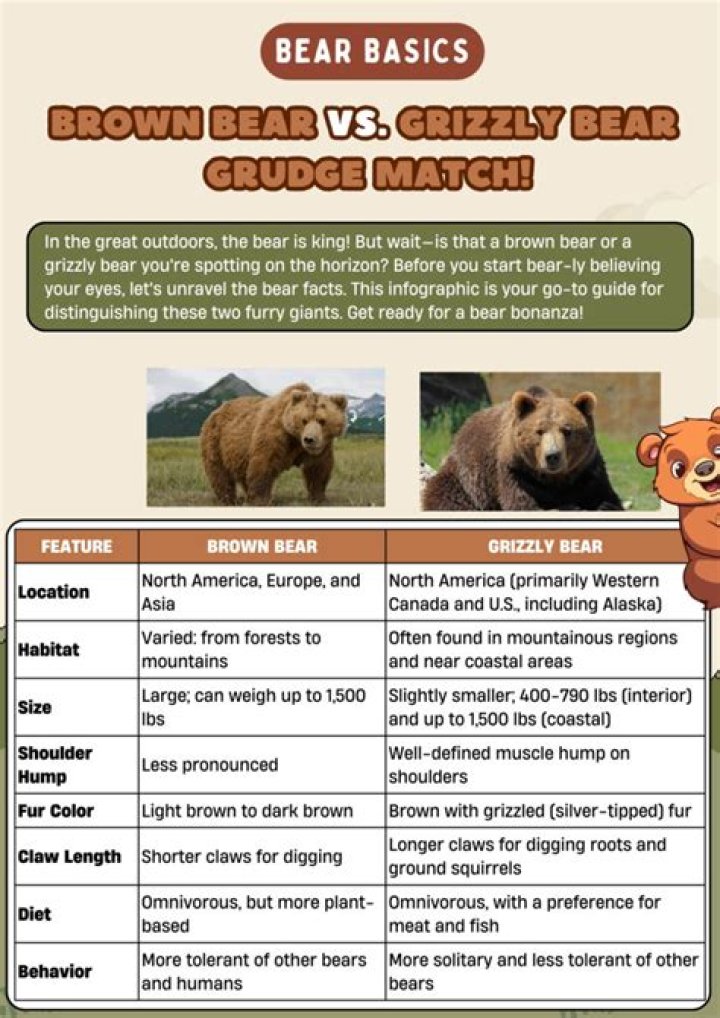 Grizzly vs Brown Bears: Unveiling the Key Differences and Fascinating Facts