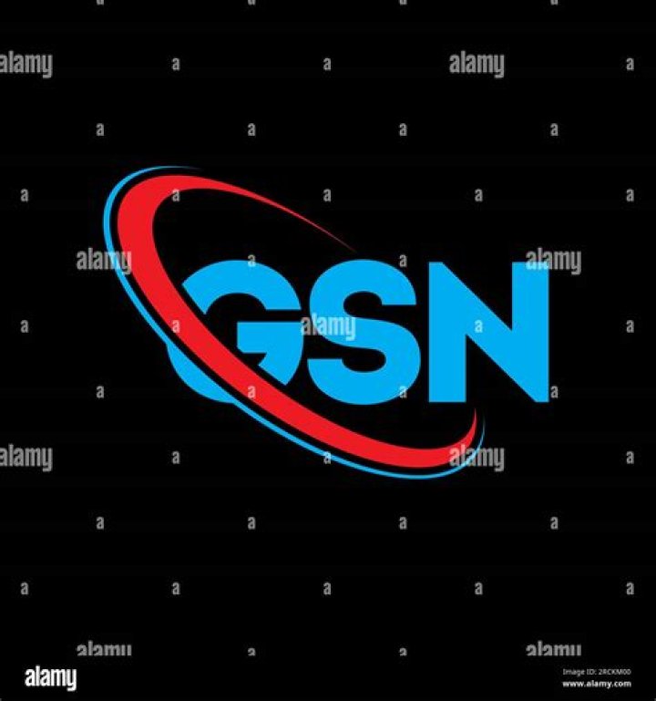 Understanding GSN: A Comprehensive Guide to the Global Service Network