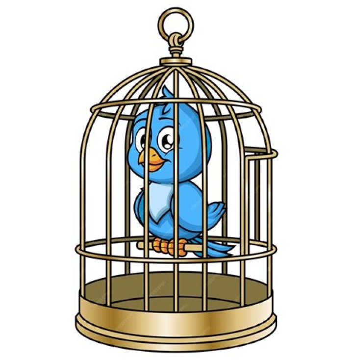 Haf&thorn;&oacute;r J&uacute;lius Bj&ouml;rnsson Born: A Comprehensive Look at the Life and Legacy of Iceland's Strongest Man