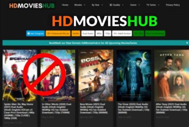 HDMoviesHub: Your Ultimate Destination for High-Quality Movie Streaming