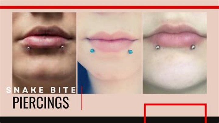 Healing Snake Bite Piercing: The Ultimate Guide to Recovery and Care