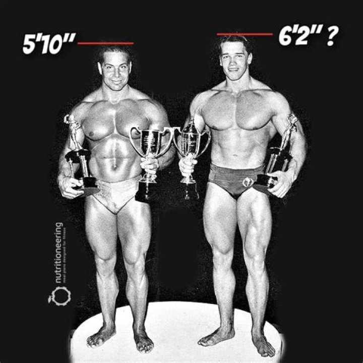 Arnold's Height: Discovering the True Measurement and Its Impact
