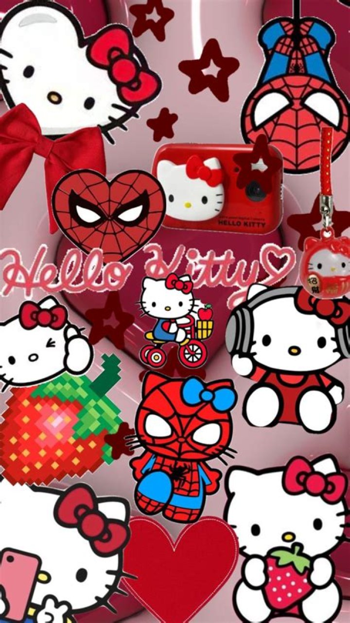 Hello Kitty with Herister: A Unique Collaboration That Defines Creativity and Style
