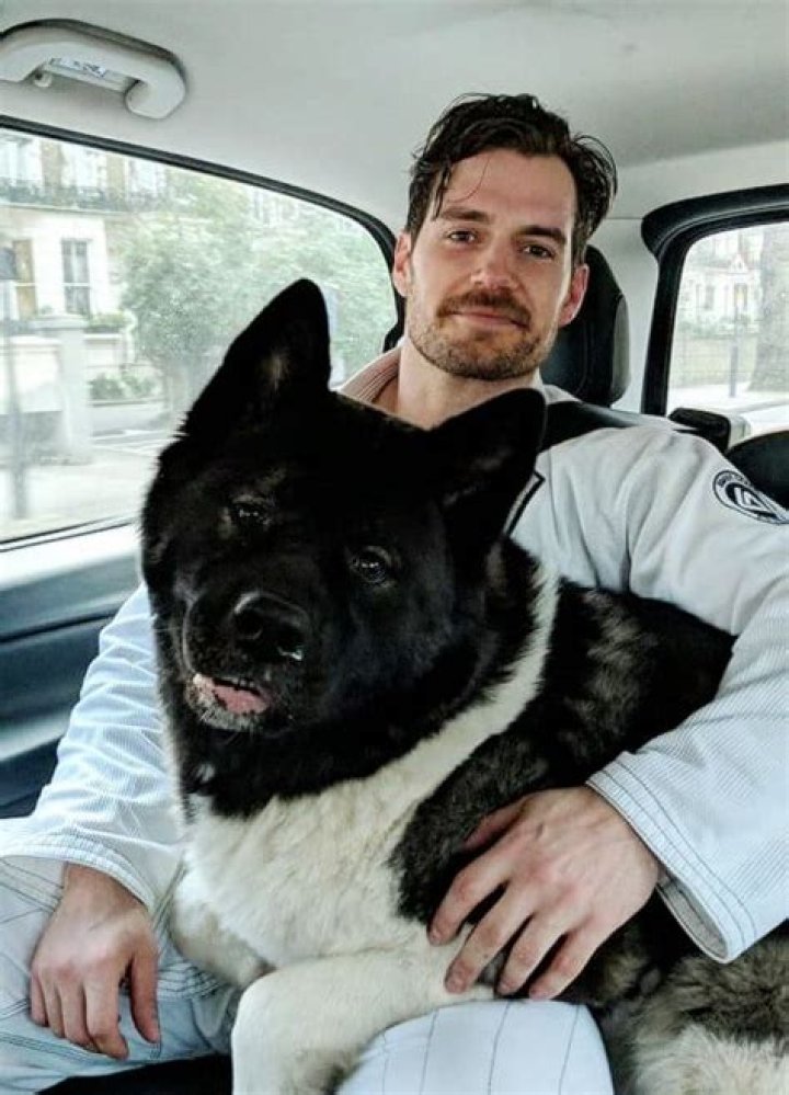 Henry Cavill's Dog Breed: A Comprehensive Guide to the Beloved Canine Companion