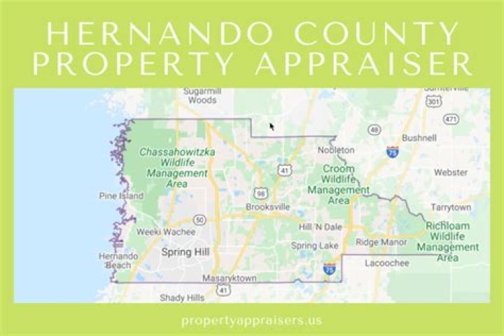 Hernando County Property Appraisers: Your Comprehensive Guide