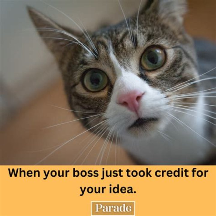 Hilarious Tips of the Day: Laughter Is the Best Medicine for Everyday Life