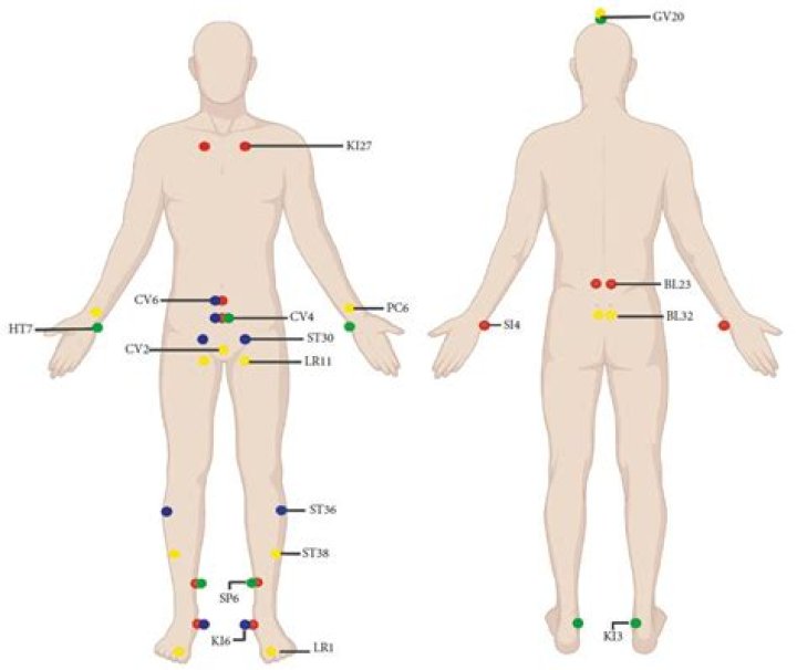 Himalayan Alt and Erectile Dysfunction: Unlocking the Potential of This Natural Supplement