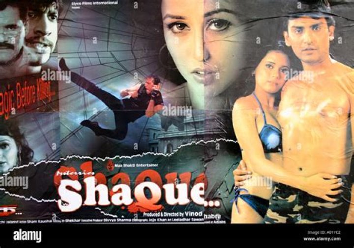 Hindi Adult Film: Exploring the Industry, Trends, and Impact