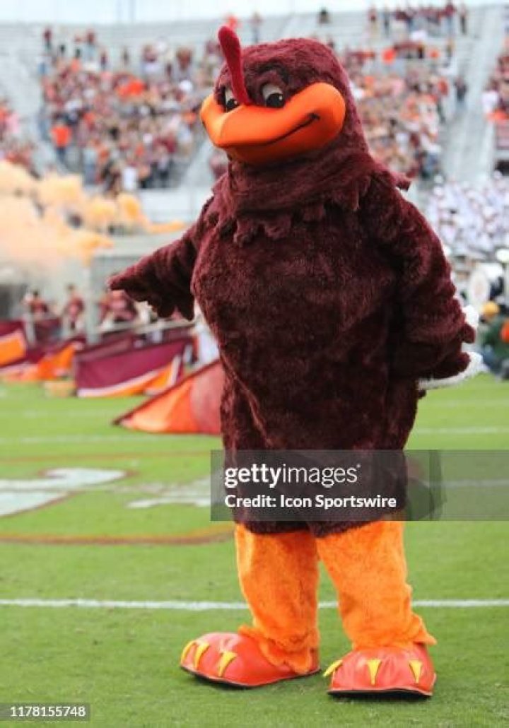 Hokie Bird Mascot: The Iconic Spirit of Virginia Tech