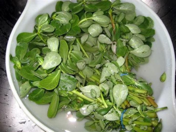 How Do You Cook with Verdolaga: A Comprehensive Guide to Exploring This Nutritious Ingredient