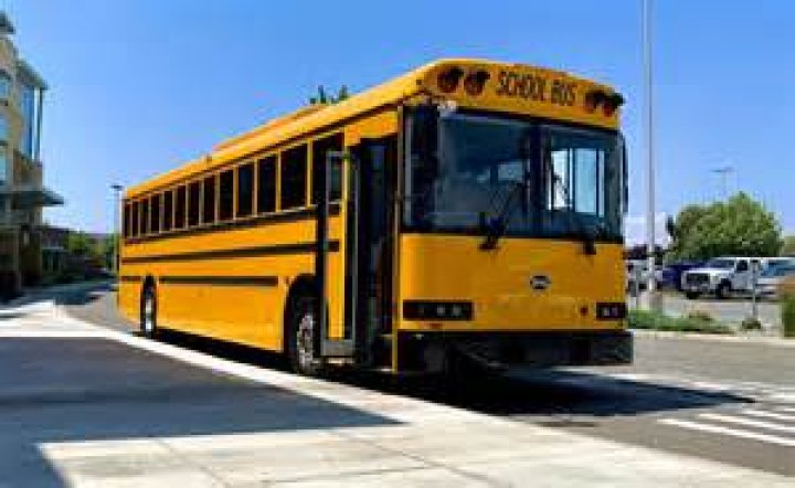 How Long Are School Buses: The Ultimate Guide to Understanding School Bus Dimensions