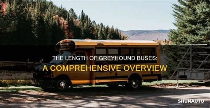 How Long is Greyhound Bus: A Comprehensive Guide to Your Travel Questions