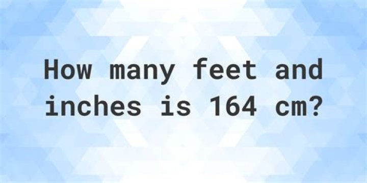 How Many Feet in 164 cm: A Comprehensive Guide to Converting Centimeters to Feet