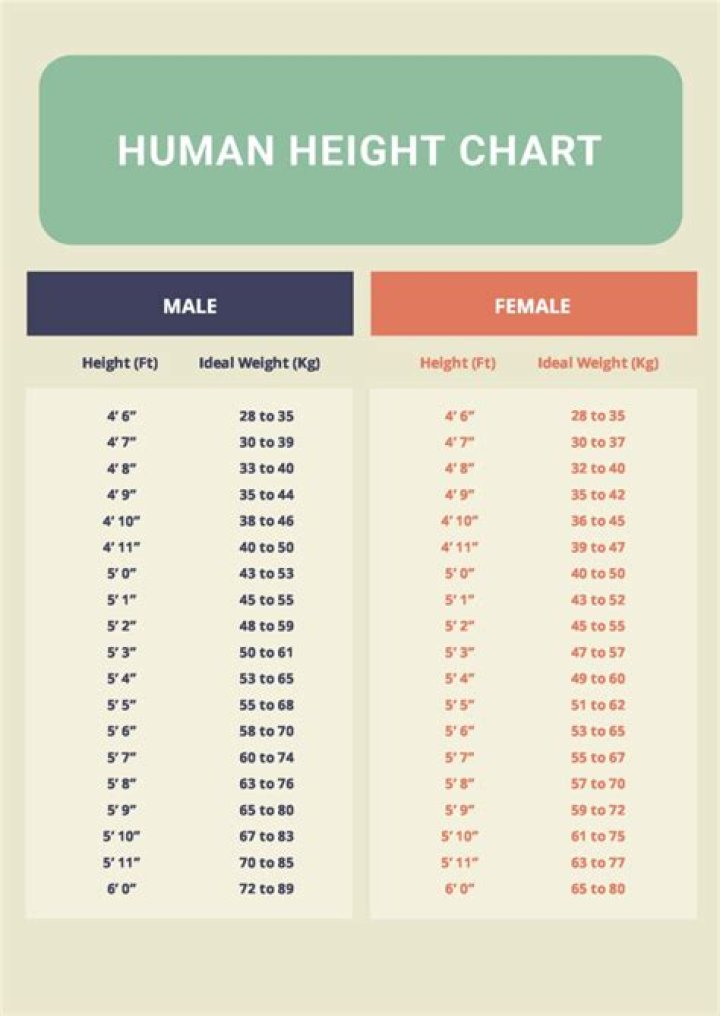 How Tall is 164 cm? A Comprehensive Guide to Understanding Height Measurements