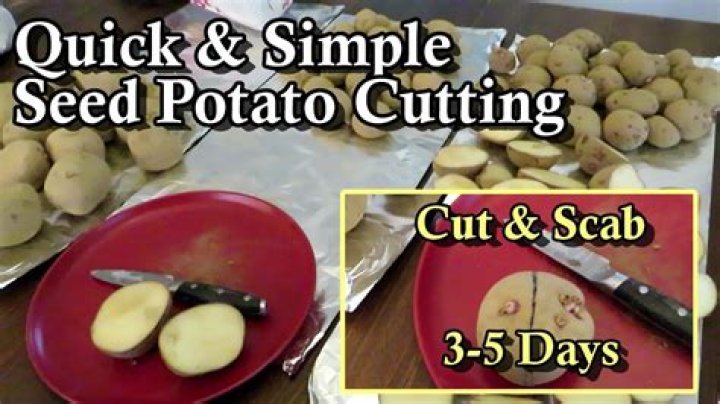 How to Keep Potatoes from Sticking to the Pan: A Comprehensive Guide