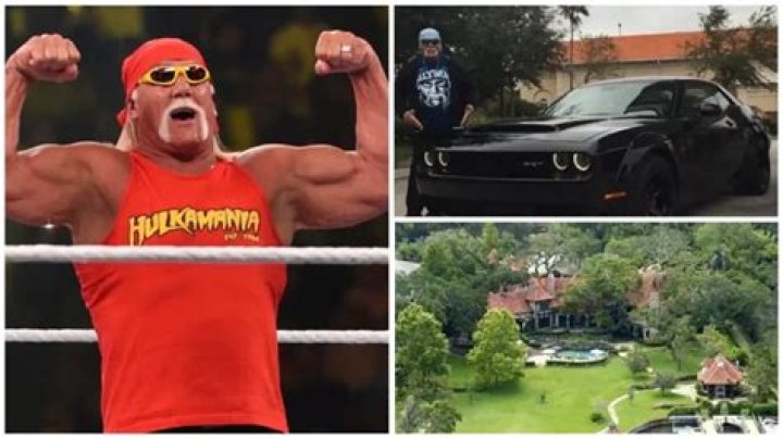 Hulk Hogan Net Worth 2024: Unveiling the Financial Empire of a Wrestling Legend