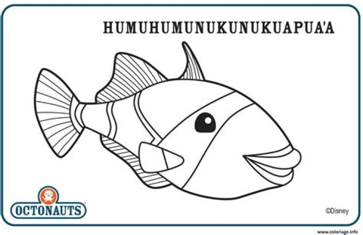 Discover the Fascinating World of Humu Humu: A Unique Marine Wonder