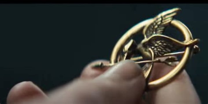 Hunger Games Resistance Symbol: A Comprehensive Guide to Its Meaning and Significance