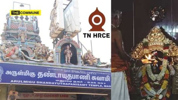 In Hundis: A Comprehensive Guide to Understanding and Maximizing Their Potential