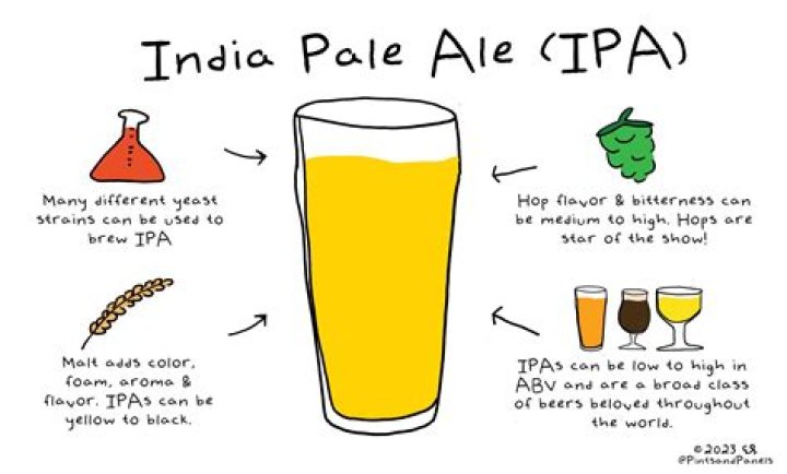 Understanding the Definition of IPA: A Comprehensive Guide