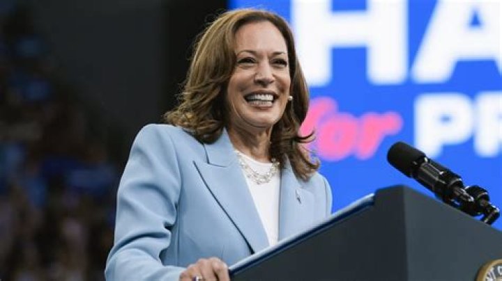Is Kamala HQ Official? Exploring the Legitimacy and Importance of Kamala HQ