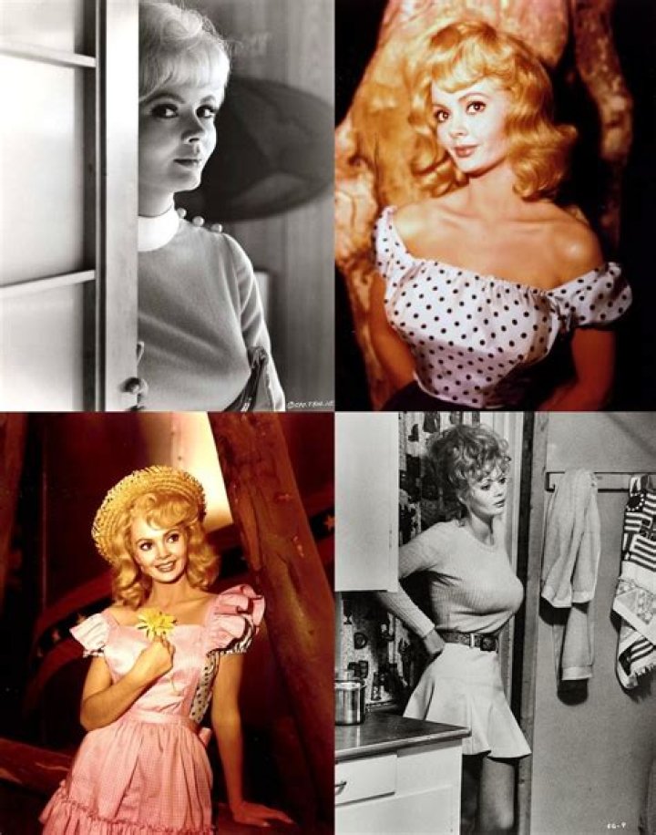 Jeannine Riley: The Inspiring Journey of a Visionary Entrepreneur