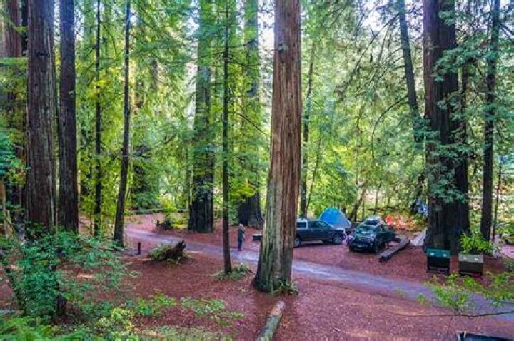 Jedediah Campground: Your Ultimate Guide to Nature's Paradise