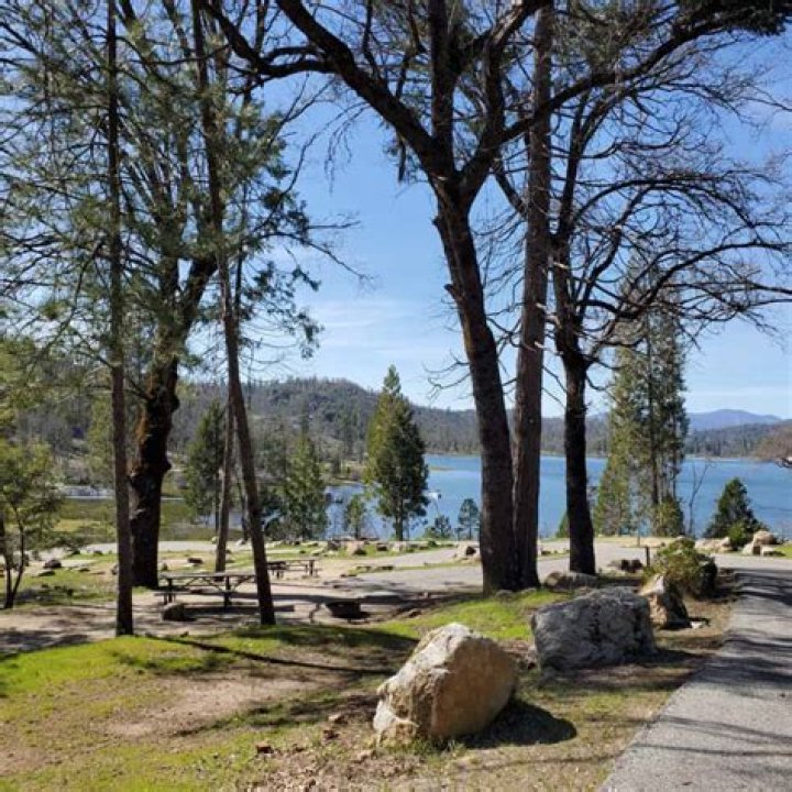 Jedediah Smith Redwoods State Park Campground: A California Wilderness Paradise