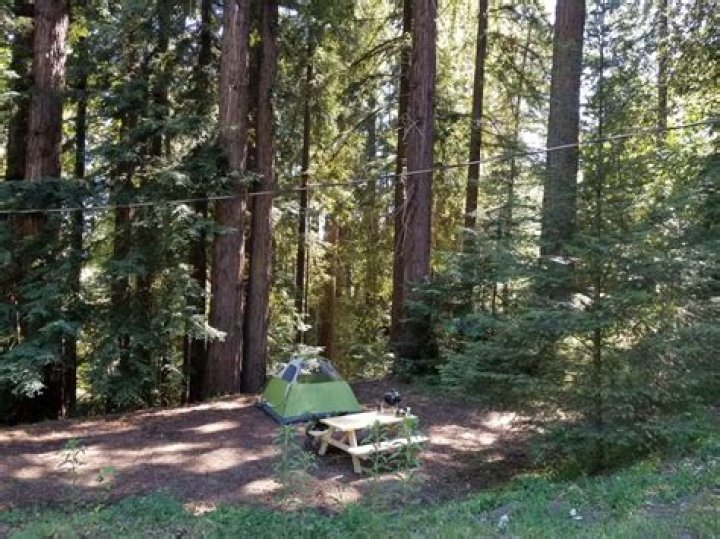 Jedediah Smith Redwood Campground: Your Ultimate Guide to Nature's Paradise