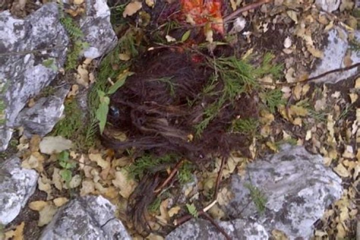 Jenni Rivera Autopsy: Unveiling the Truth Behind the Iconic Singer's Tragic End