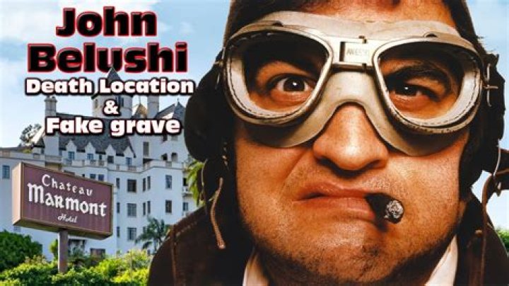 John Belushi Net Worth at Death: Exploring the Legacy of a Comedy Icon