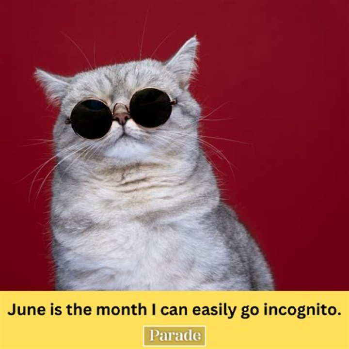 June 7 Zodiac: Discover the Traits, Compatibility, and Secrets of Gemini!