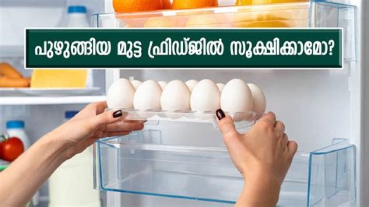 How to Properly Keep Boiled Eggs in the Refrigerator for Maximum Freshness