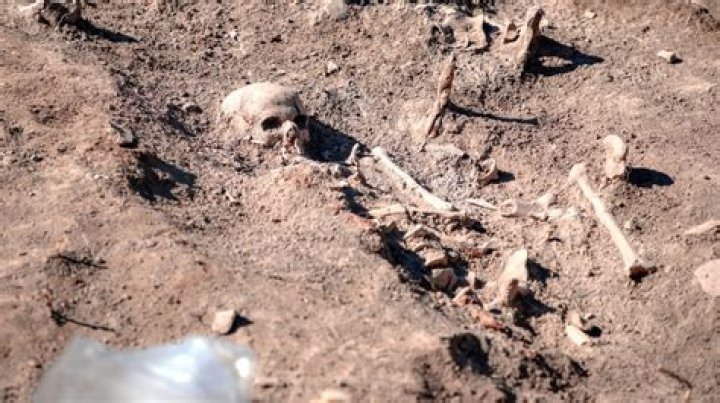 Keithapsford Remains: Unveiling the Truth Behind the Mysterious Story