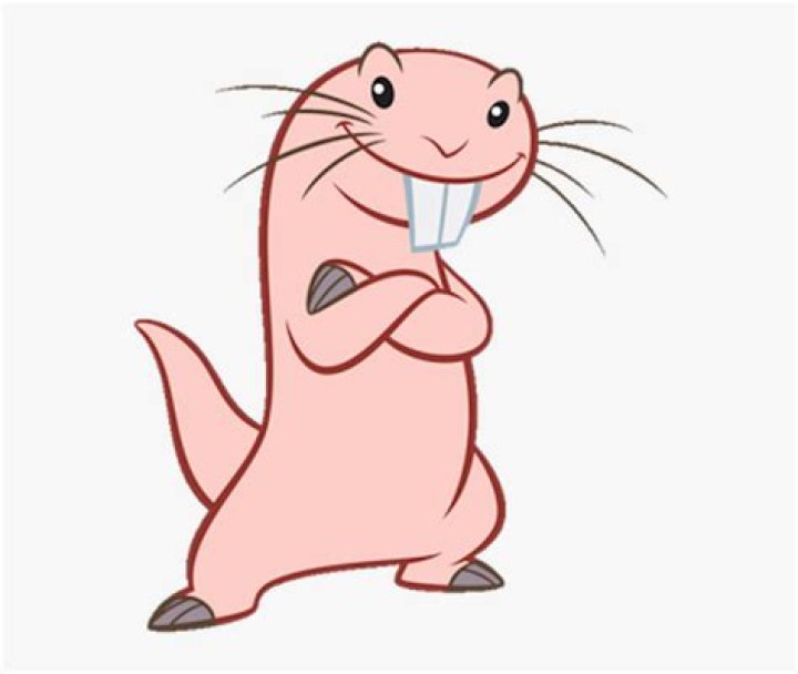 Kim Possible Rat Name: Unveiling the Secrets Behind the Iconic Villain's Sidekick