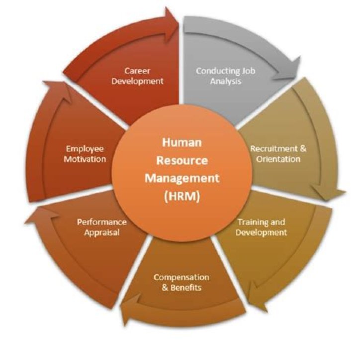 Kohl's Human Resources Department: A Comprehensive Guide to Employee Success