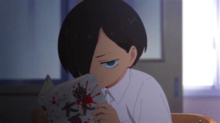 Kyoko Ichikawa: The Rising Star of Japanese Entertainment