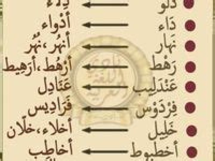 Lamaouta: The Ultimate Guide to Discovering the Enigmatic Beauty