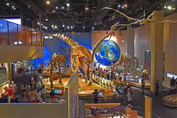Discover the Fascinating World of the LEGO Museum in Dallas, Texas